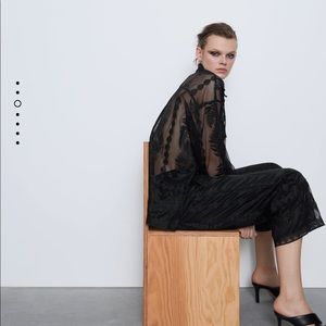 Zara embroidered tulle top NWT